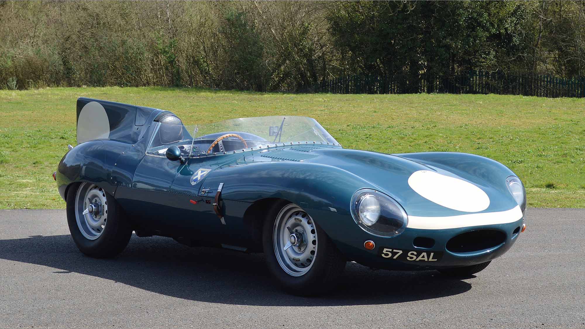 Lynx D-type front