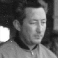 guelfi